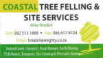 Tree Felling and Related Services South Coast KZN