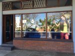 Oasis Water Shelly Beach