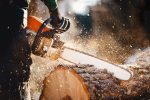 Tree Felling Sandton