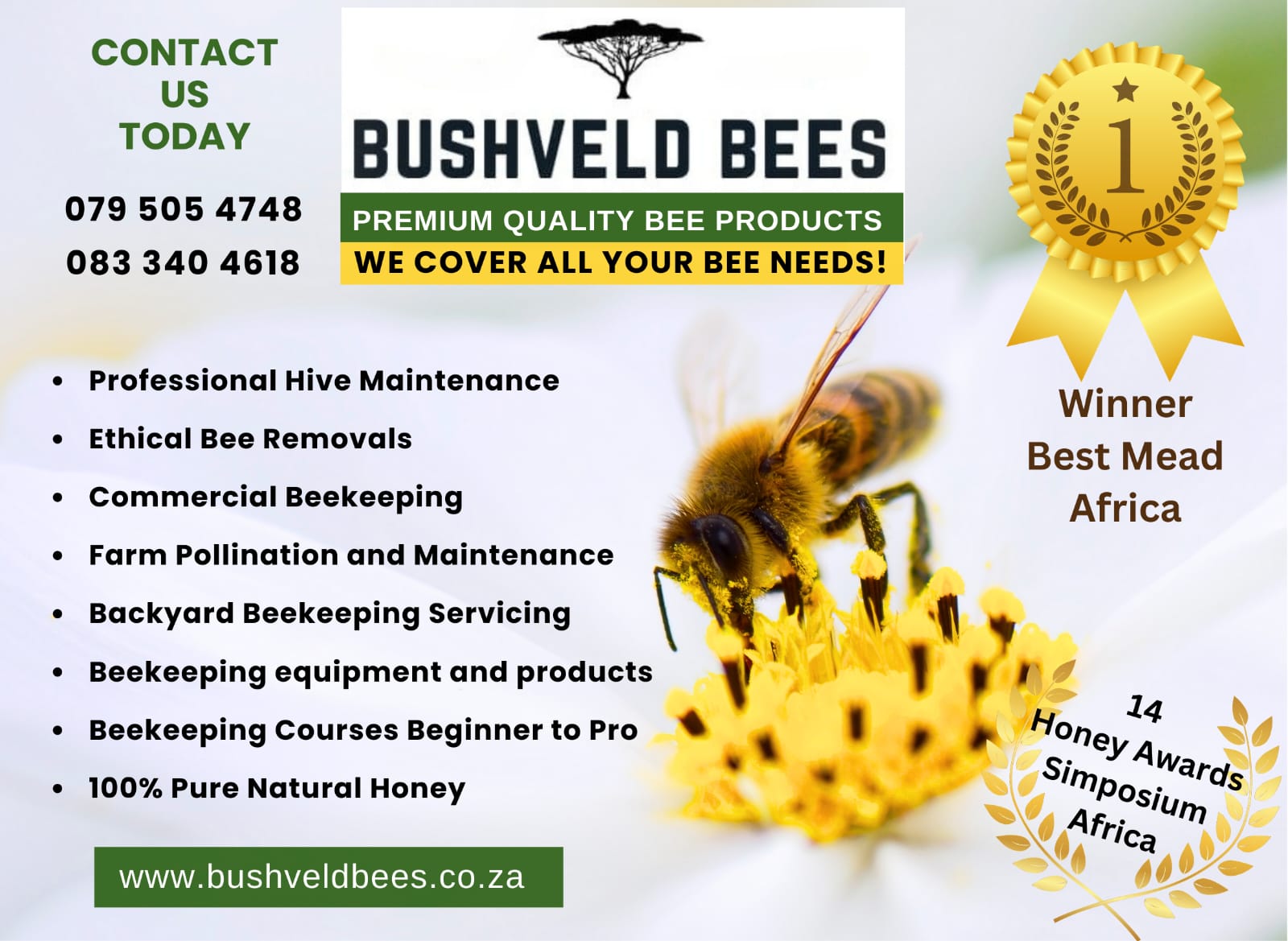 BVB Removals and Services Pty ( Ltd)
